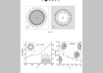 Kinetically stable nanoemulsions, processes for the preparation thereof and their use in petroleum and natural gas storage reservoirs, and in thermal water storage reservoirs, in well base treatment and bed stimulation processes