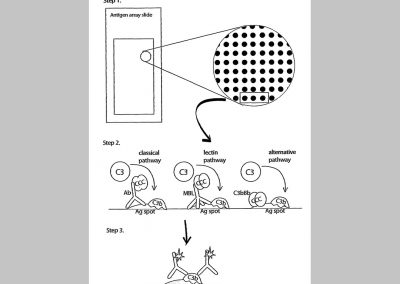 Measurement of complement activation products on antigen arrays