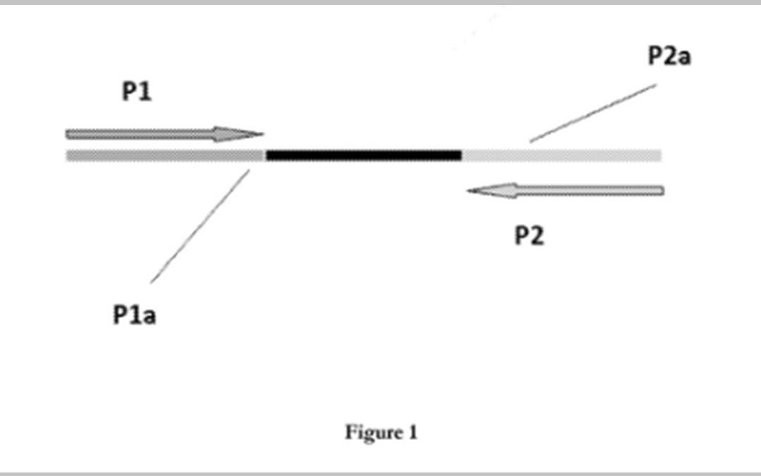 Nucleic acid based coding