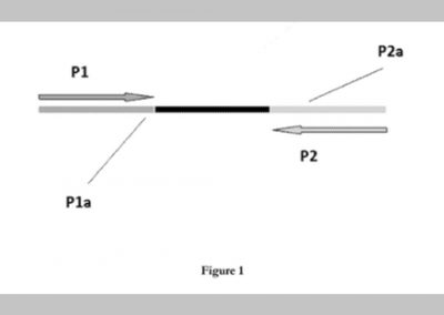 Nucleic acid based coding