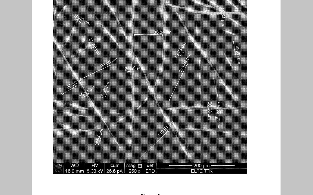 Polypropylene or polyethylene based separator for use in electrochemical cells for producing alkali metal ferrates