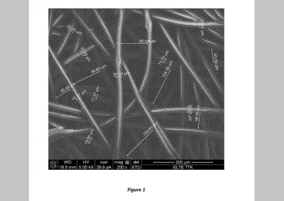 Polypropylene or polyethylene based separator for use in electrochemical cells for producing alkali metal ferrates