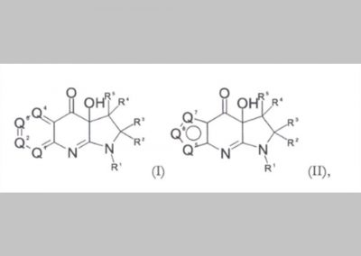 Pharmaceutically effective compounds inhibiting selectively the myosin 2 isoforms