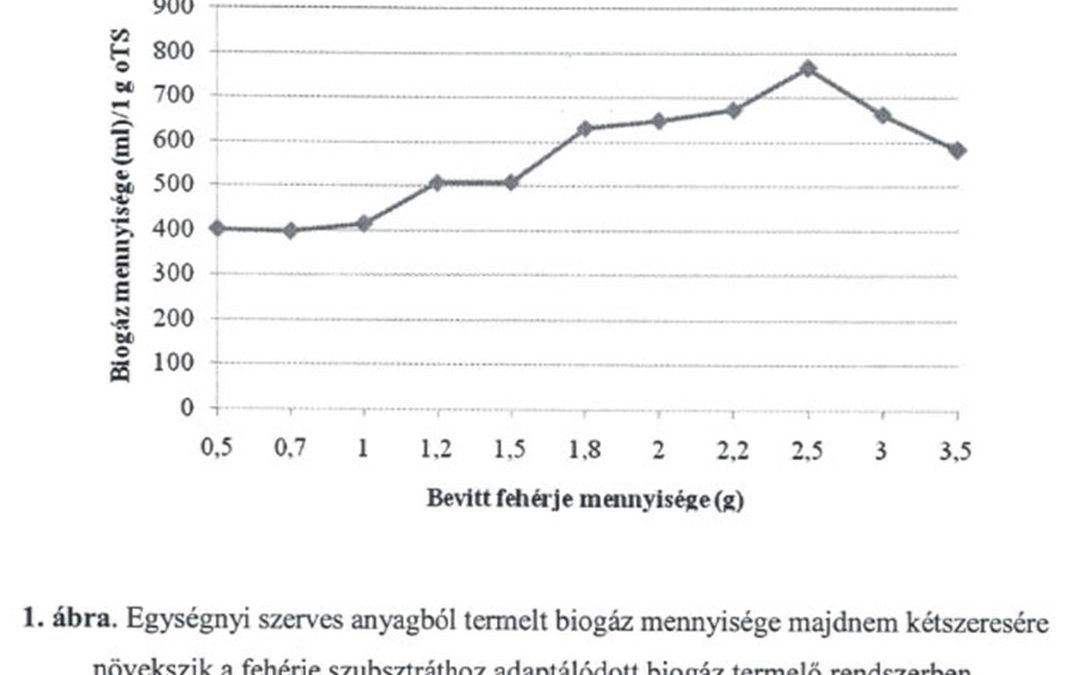 Biogáz termelés fehérjében gazdag alapanyagokból