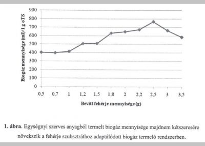 Biogáz termelés fehérjében gazdag alapanyagokból