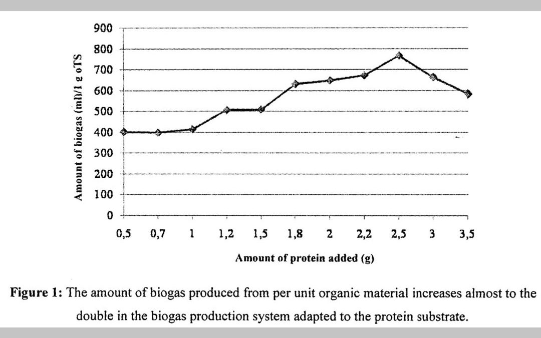 Production of biogas from protein-rich resources