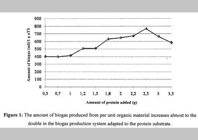 Production of biogas from protein-rich resources