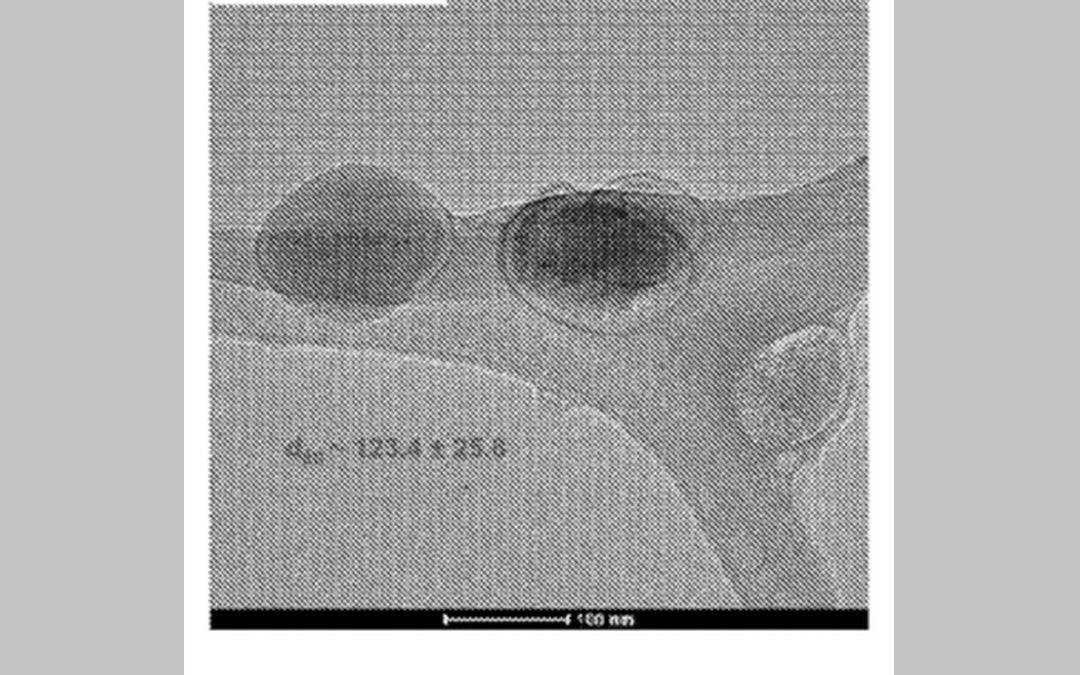 Sustained release nanocomposite, a process for producing the same and use thereof