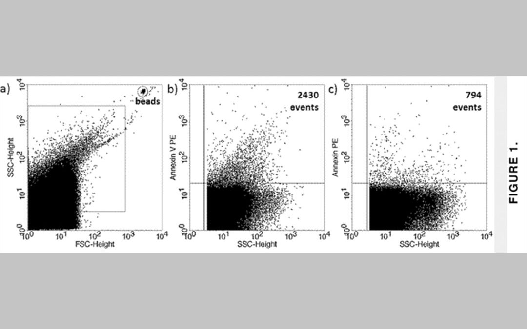 Non-invasive method to assess embryo competence