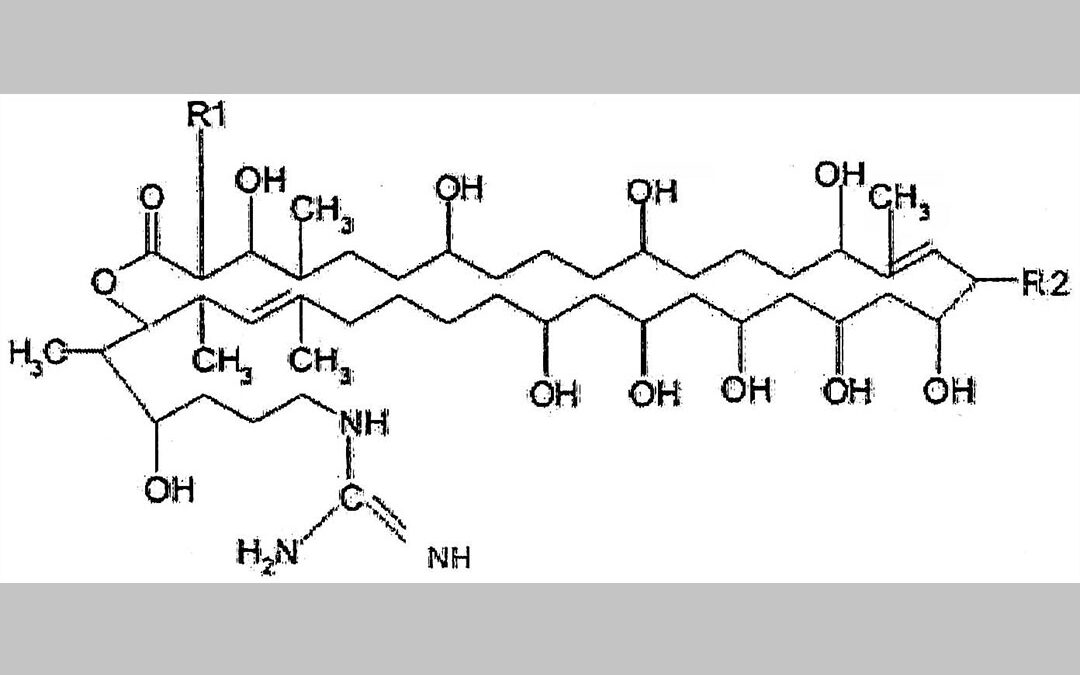 Primycin and its components and combinations thereof for use in the treatment or prevention of infections caused by specific pathogens