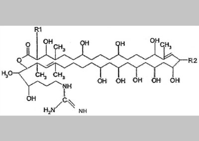 Primycin and its components and combinations thereof for use in the treatment or prevention of infections caused by specific pathogens