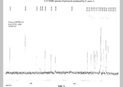 Process for producing primycin, primycin component(s), precursors and metabolites thereof via fementation by the use of bacterial species saccharomonospora azurea